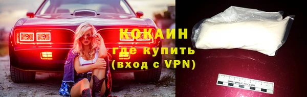 хмурый Гусь-Хрустальный