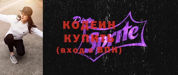 хмурый Гусь-Хрустальный