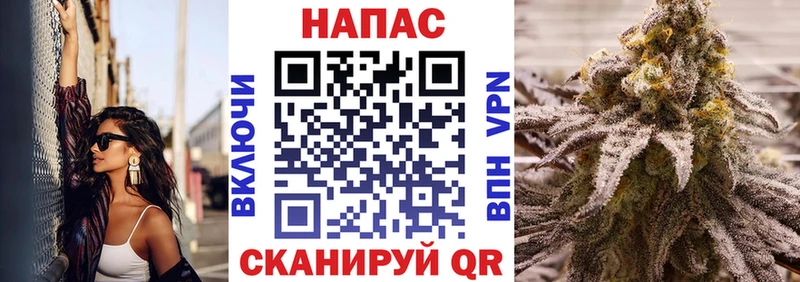 Каннабис OG Kush  Завитинск 